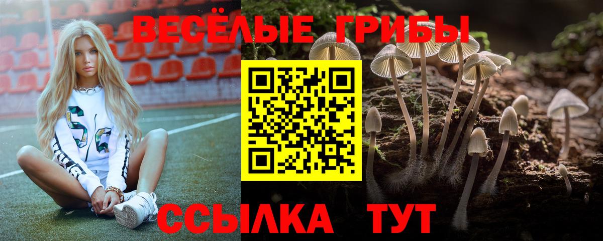 где найти   Вход с VPN  Обнинск  Галлюциногенные грибы GOLDEN TEACHER  Галлюциногенные грибы Cubensis 